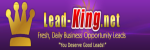 Lead King net